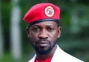 ‘Hounded and harassed’: The former pop star taking on Uganda’s long-time president