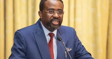 Domestic Gold Purchase Programme losses soared to GH¢5.66bn in 2024, says BoG