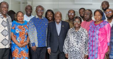 Akufo-Addo praises NPP election committee for transparent primary process